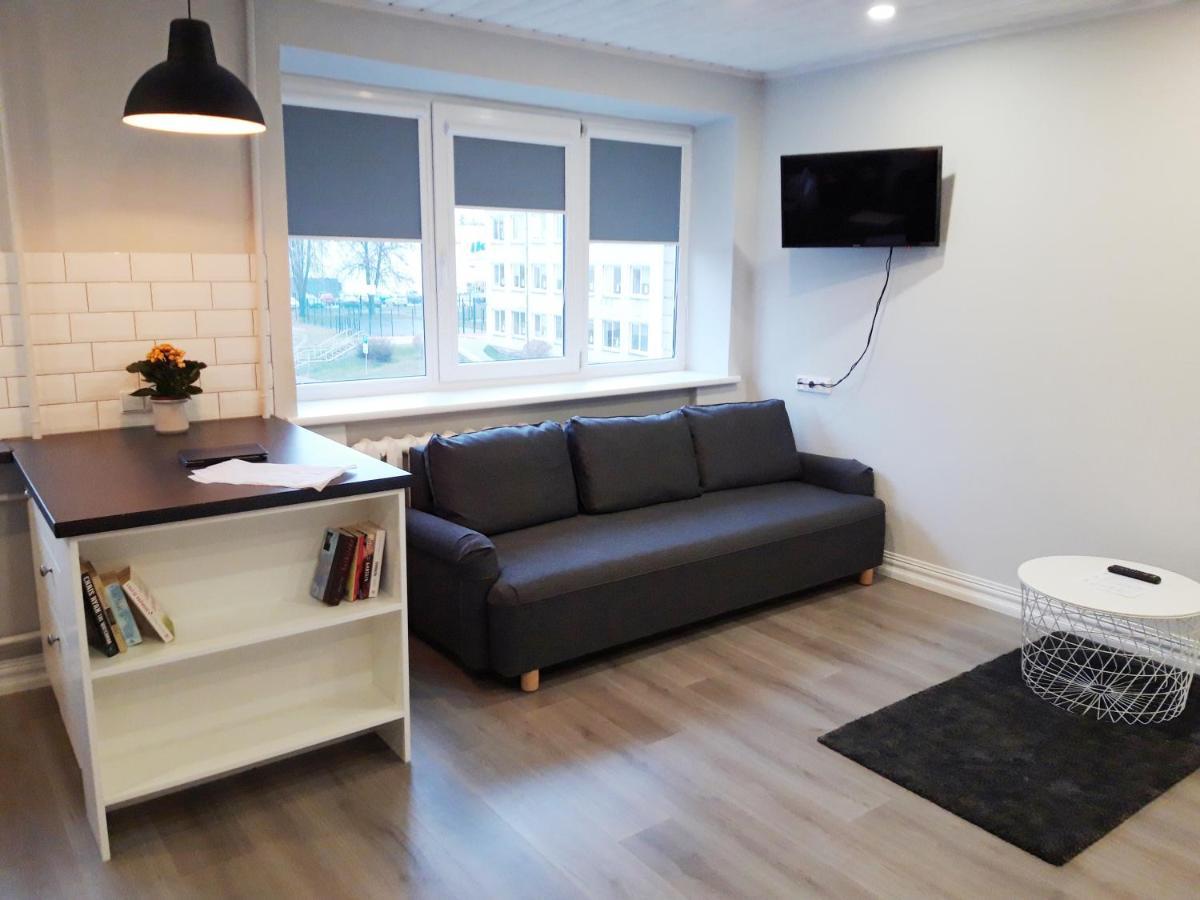 Alytus Ziburio Studio Екстериор снимка