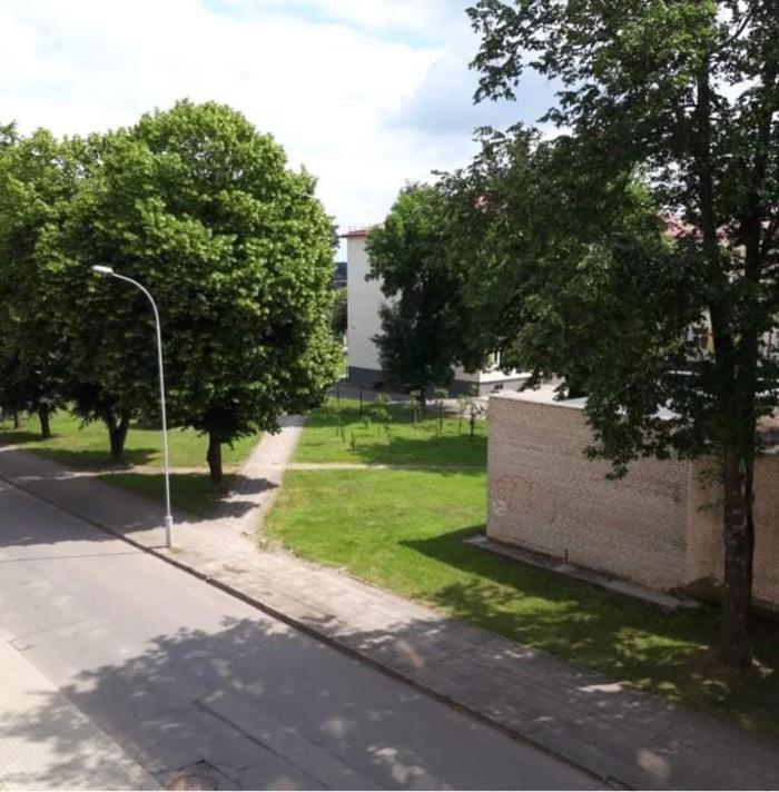 Alytus Ziburio Studio Екстериор снимка
